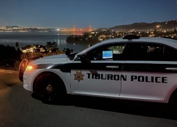Paradise drive sign with flowers