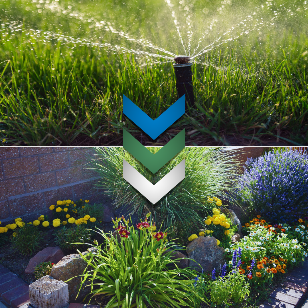 A sprinkler head watering grass on the left side and a drought tolerant garden on the right side
