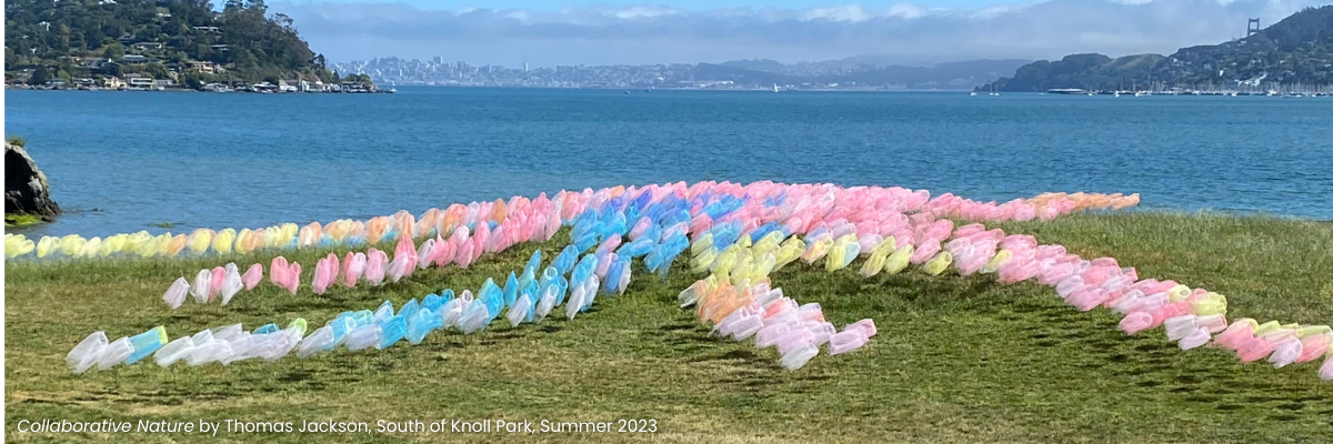 Collaborative Nature by Thomas Jackson, South of Knoll Park, Summer 2023 (1200 x 300 px) (1200 x 400
