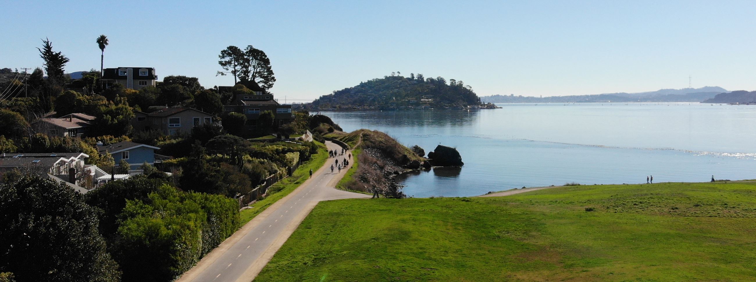 green grassy knoll with a flat water bay and view of San Francisco and Belvedere in the background