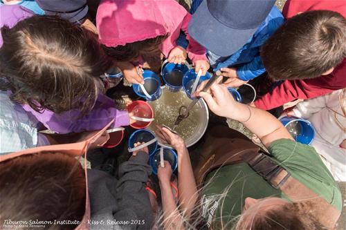 Kiss and Release 2015