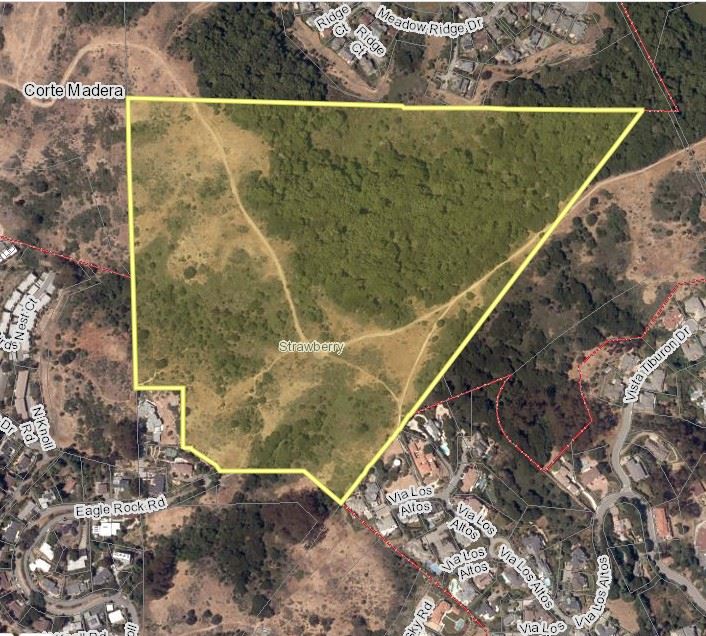 Via Los Altos Veg Mgmt